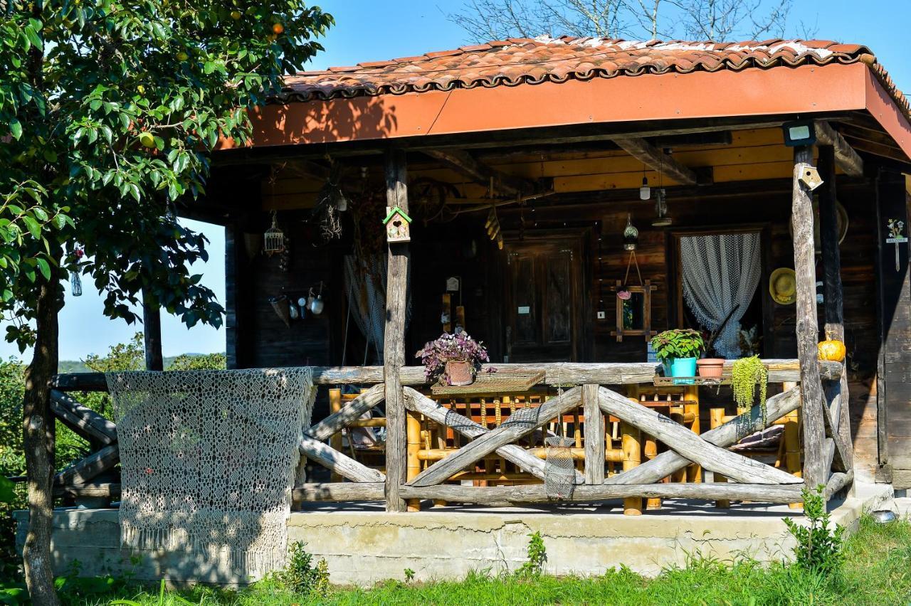 Agro Guesthouse Korena كوتايسي المظهر الخارجي الصورة