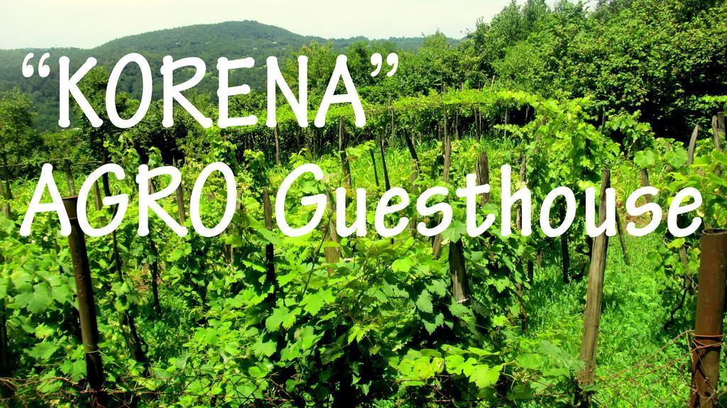 Agro Guesthouse Korena كوتايسي المظهر الخارجي الصورة