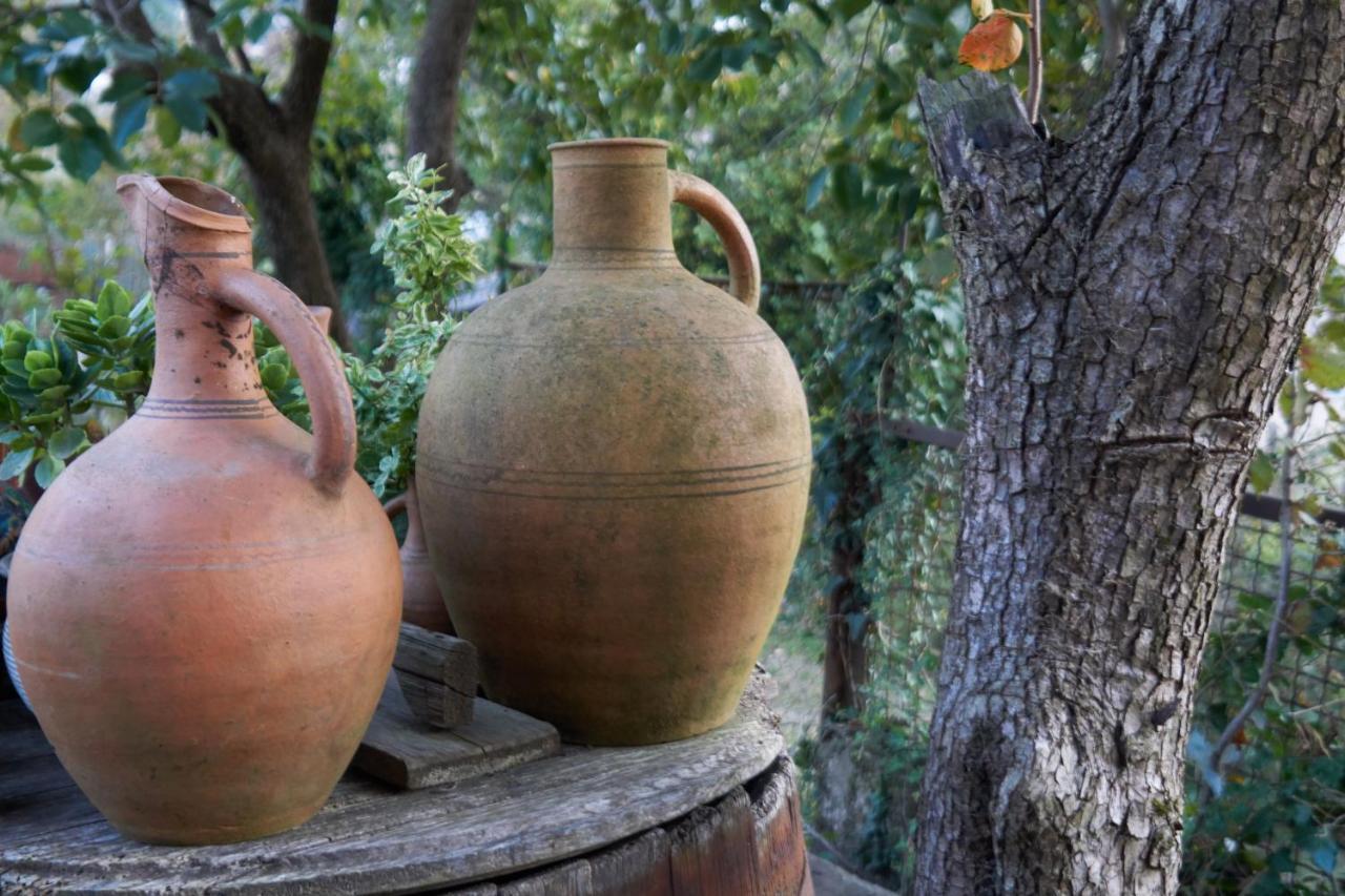 Agro Guesthouse Korena كوتايسي المظهر الخارجي الصورة